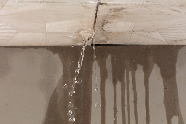 Professional Structural Drying technician working in Springport, IN